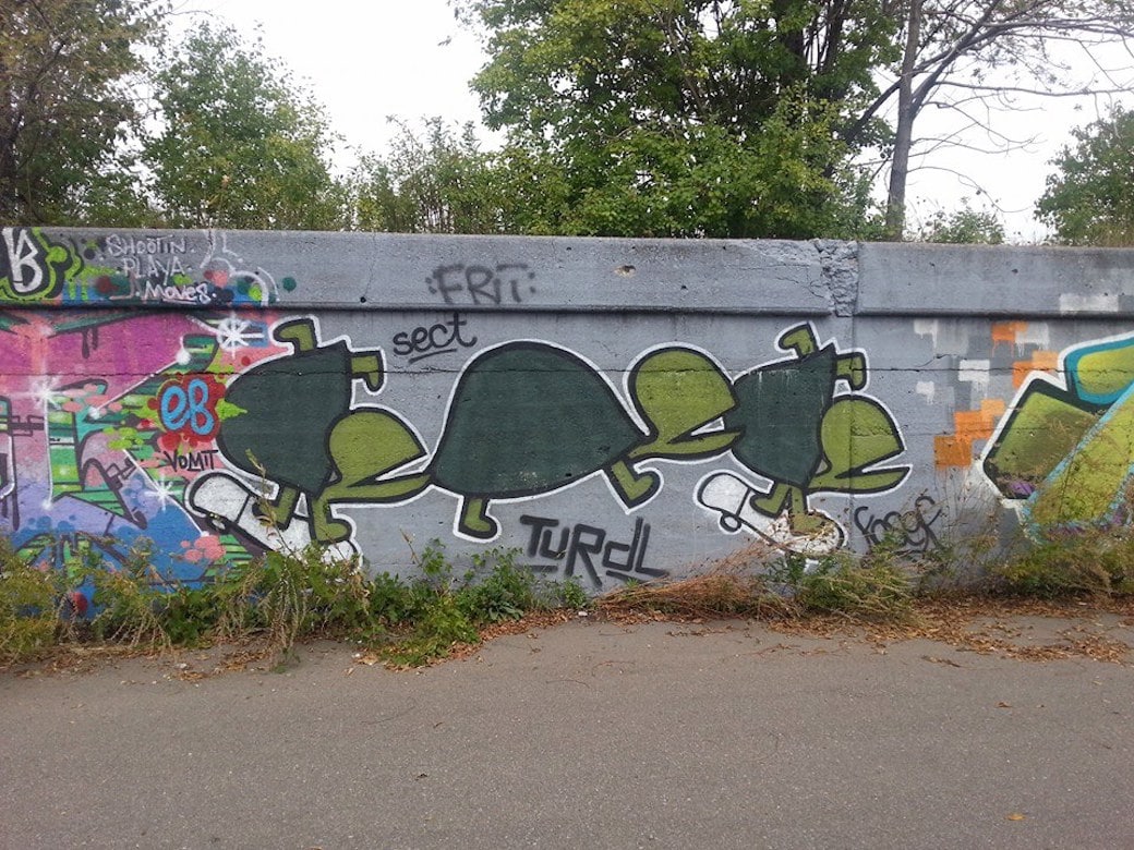 Turtle art in Detroit