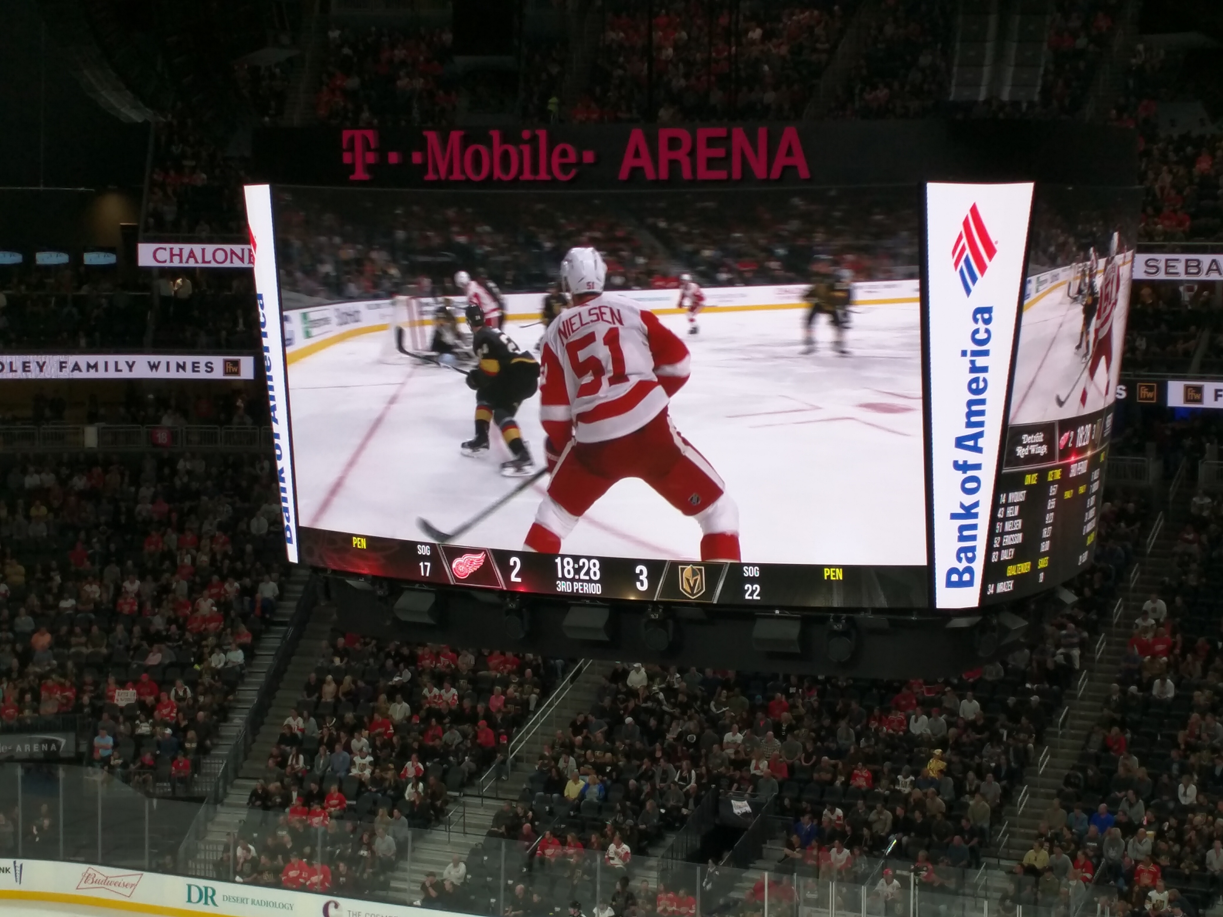 The Detroit Redwings helped me build credit